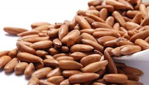 Pine - Nuts In-Shell (ثابت چلغوزہ)